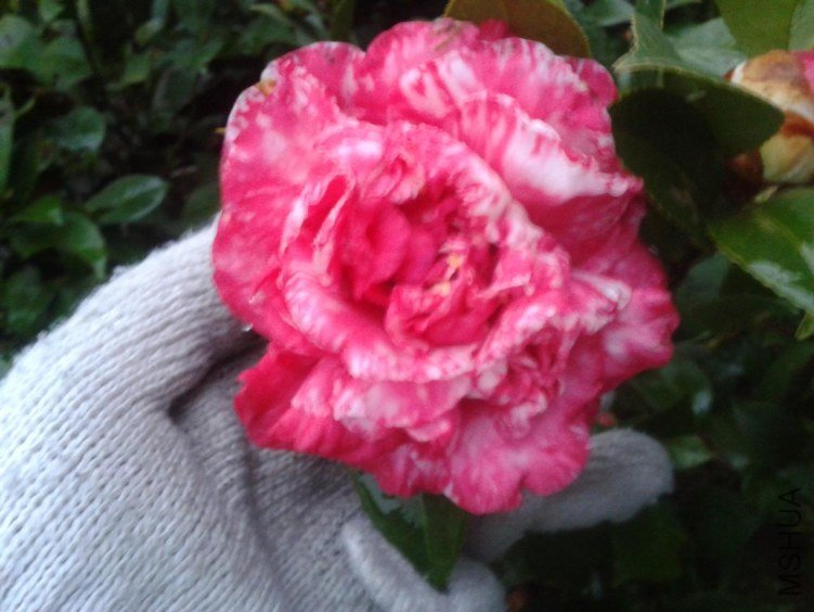 2012-12-18 07.14.14.jpg
