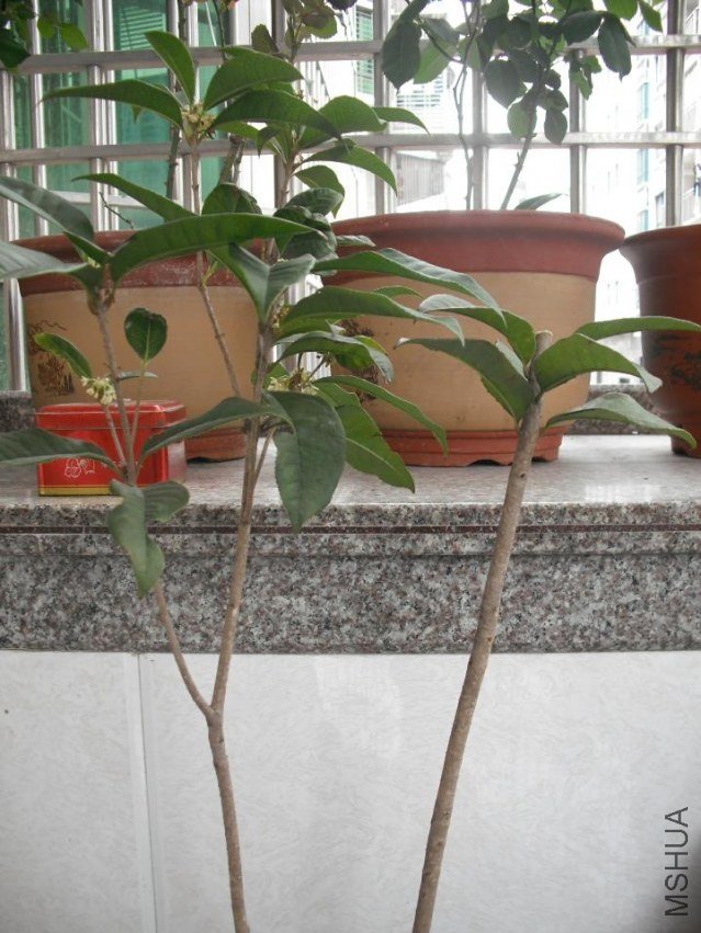 �ǲ��ǿ�����Э���ܶ���