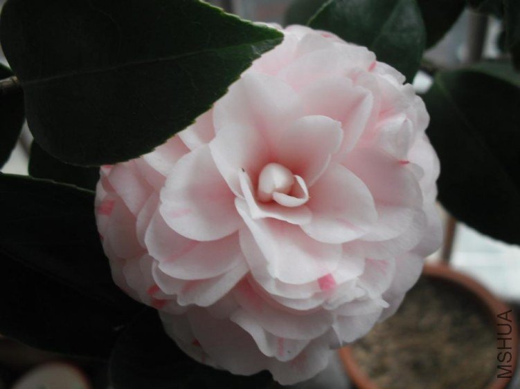 ����һ��