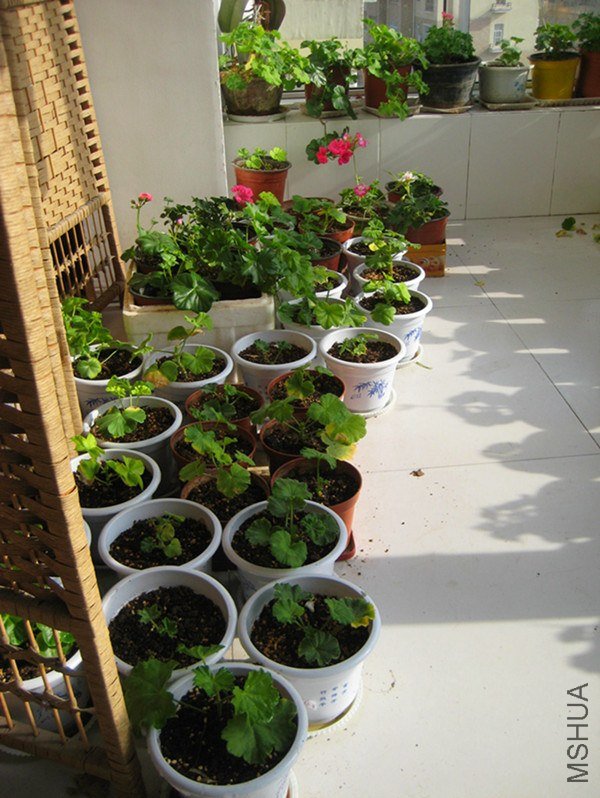 ��Ƭ 061_����.jpg