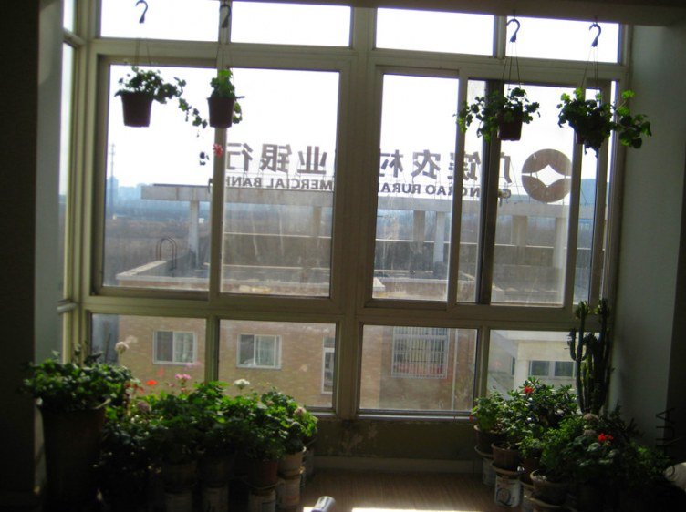 ��Ƭ 065_����.jpg