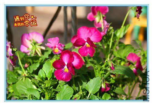 ��Ƭ 017_����.jpg