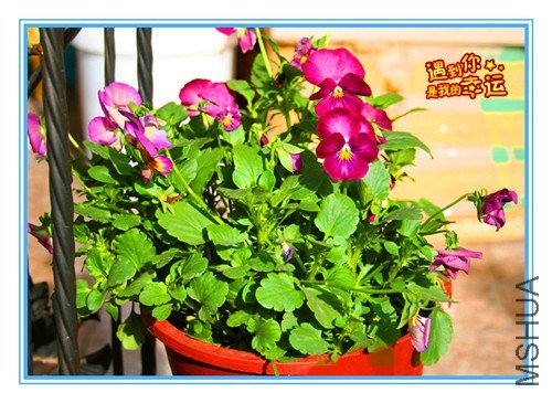 ��Ƭ 016_����.jpg