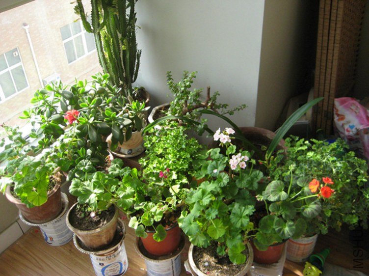 ��Ƭ 067_����.jpg