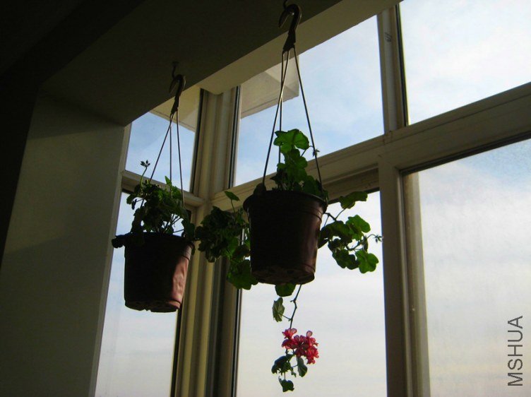 ��Ƭ 069_����.jpg