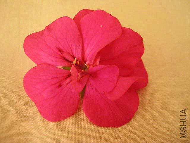 ���� ��õ��.jpg