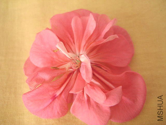 ���� ����ʽ����.jpg