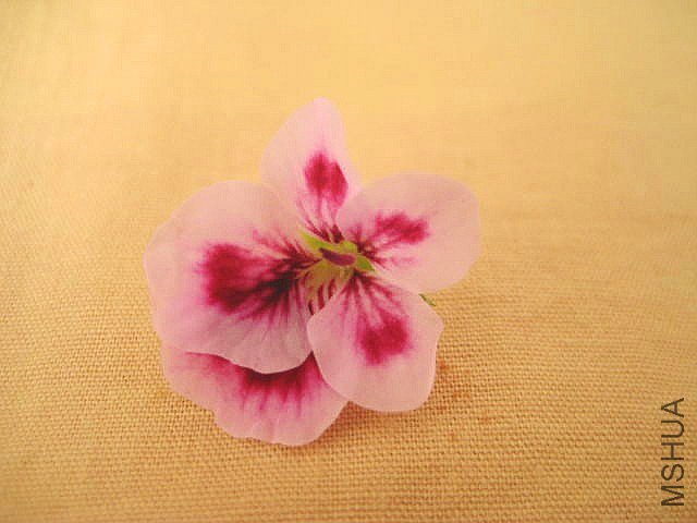 ��ʹ֮�� �ƺ�ױ�.jpg