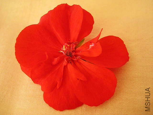 ֱ�� �����.jpg