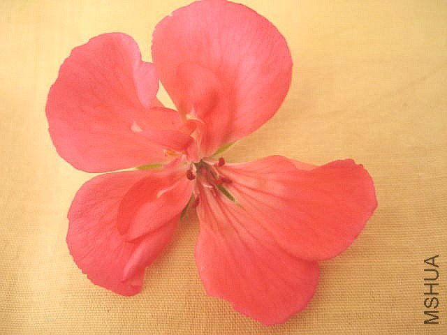 ֱ�� ���.jpg