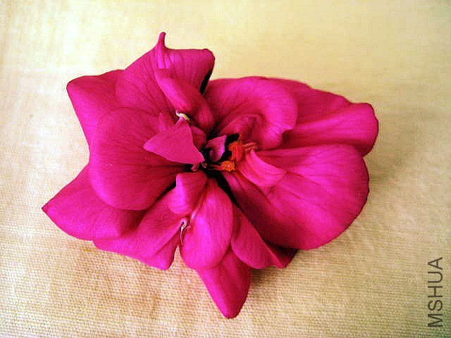 ֱ�� ����.jpg