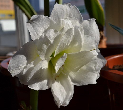 DSC_0060.jpg
