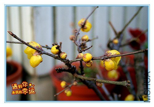 ��Ƭ 011_����.jpg