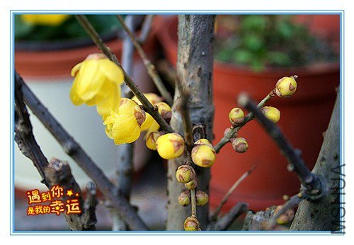 ��Ƭ 009_����.jpg