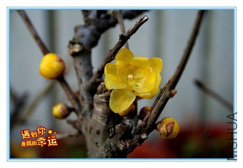 ��Ƭ 010_����.jpg