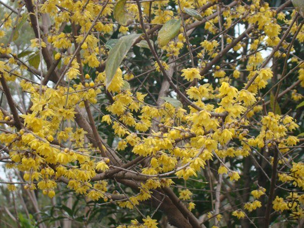 DSC07897.jpg