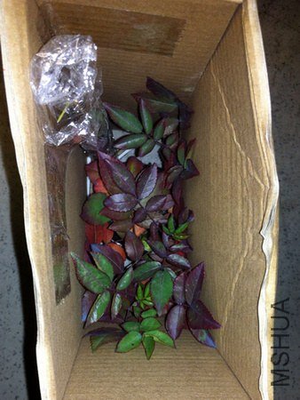 ��Ƭ 033.jpg