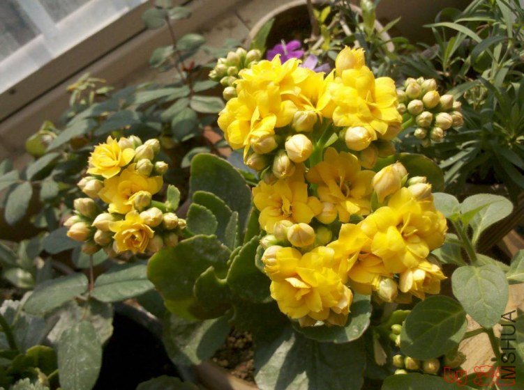 �ݵ� 2012-01-05_13-07-04_763.jpg