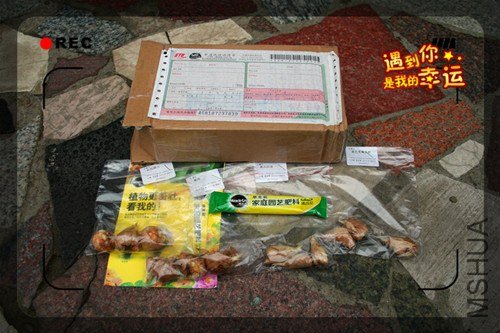 ��Ƭ 011_����.jpg