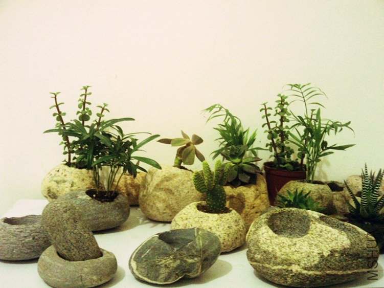 http://taiyubaobao.taobao.com