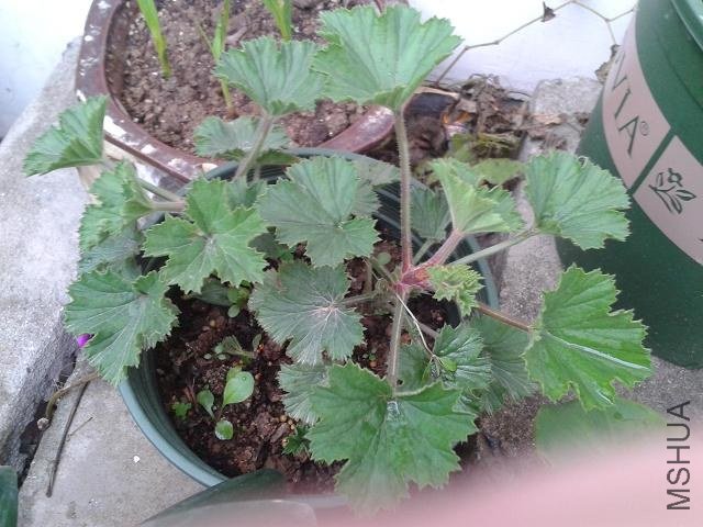 2012-12-21 15.211.JPG