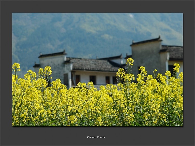 DSC_2487 ����.jpg