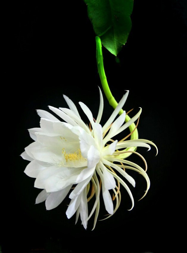 ��Ƭ 099.jpg