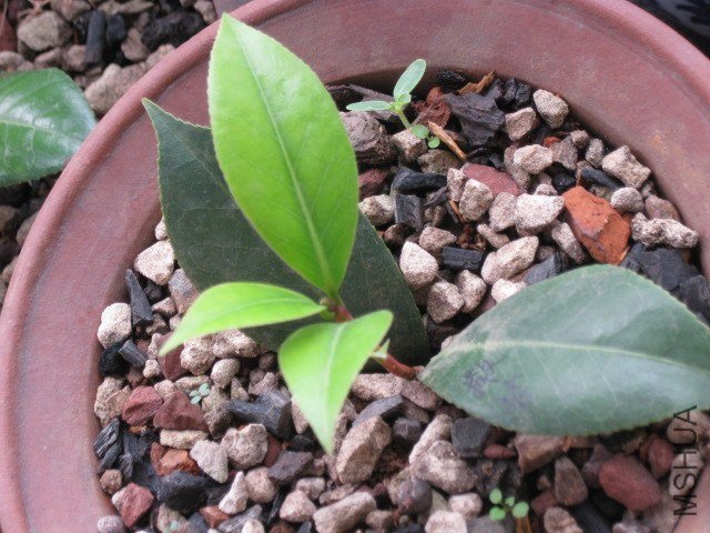 ��������� (2).JPG