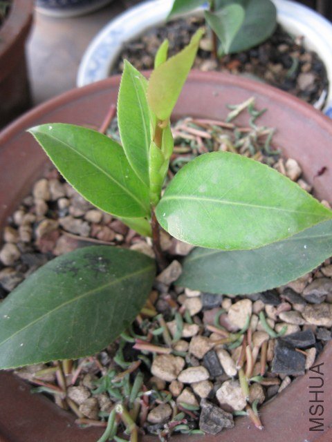 ��������� (3).JPG