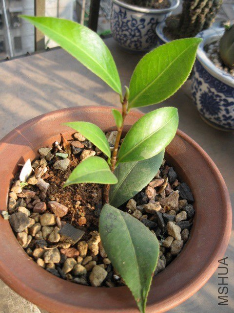 ��������� (5).JPG