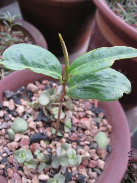 ������1 (4).JPG