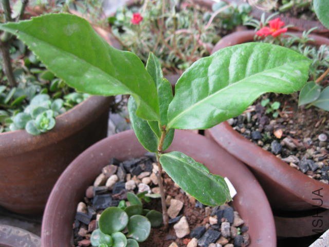 ������1 (8).JPG