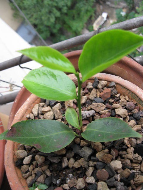 �������� (5).JPG