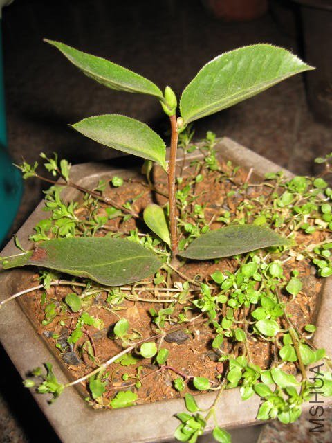 �������� (6).JPG