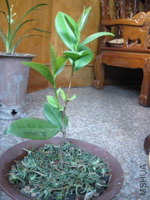 ������1 (6).JPG