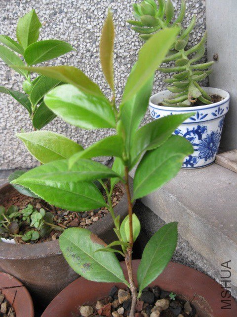 ������1 (7).JPG