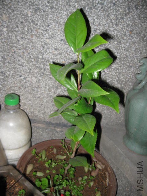 ������1 (11).JPG