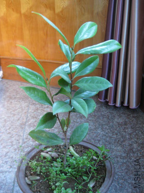 ������1 (13).JPG