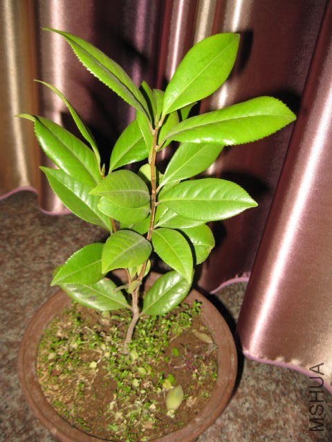 ������1 (14).JPG