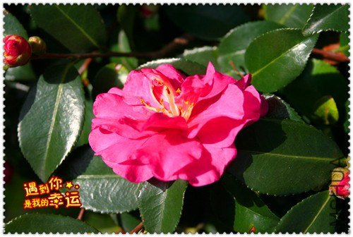 ��Ƭ 028_����.jpg