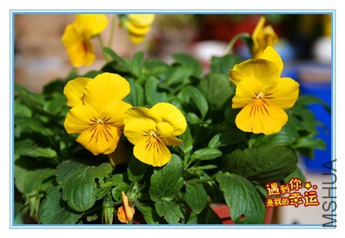 ��Ƭ 012_����.jpg