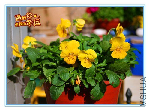 ��Ƭ 011_����.jpg