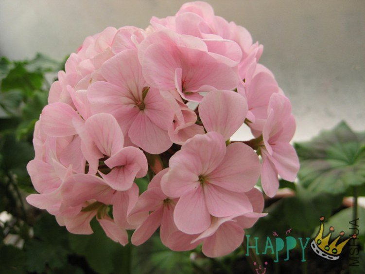 ֱ�� ���� ��.jpg