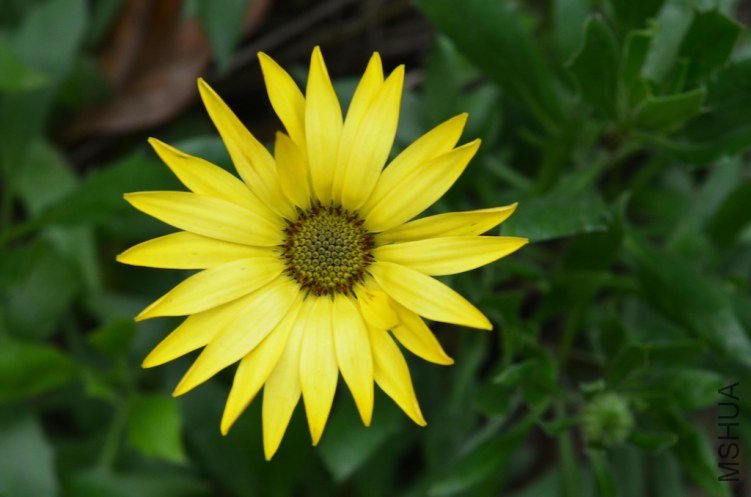 DSC_0241.JPG
