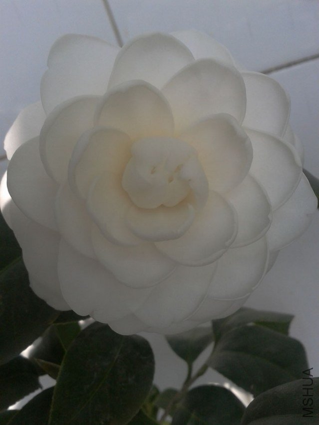 ���û�޽ӣ��Ƚ�С2���ˣ�ÿ�꿪����