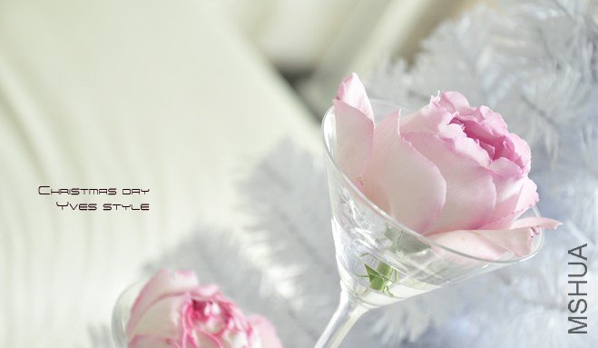 yves style11.jpg