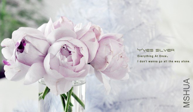 YVES silver4.jpg