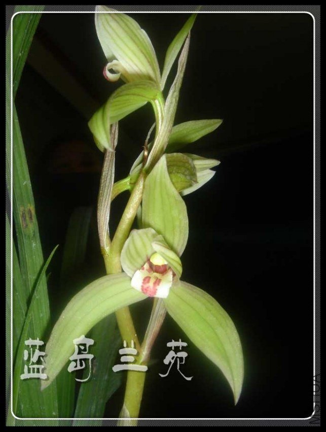 ���� ������.jpg