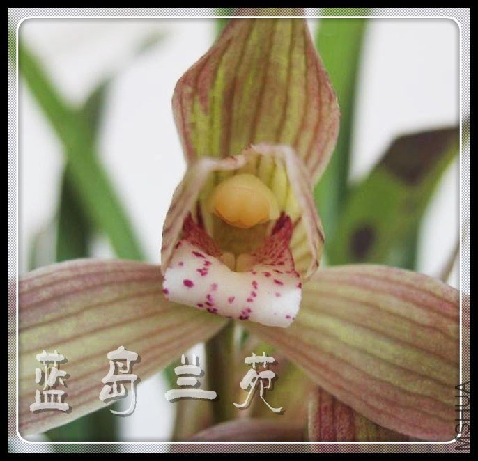 ���� ���.jpg