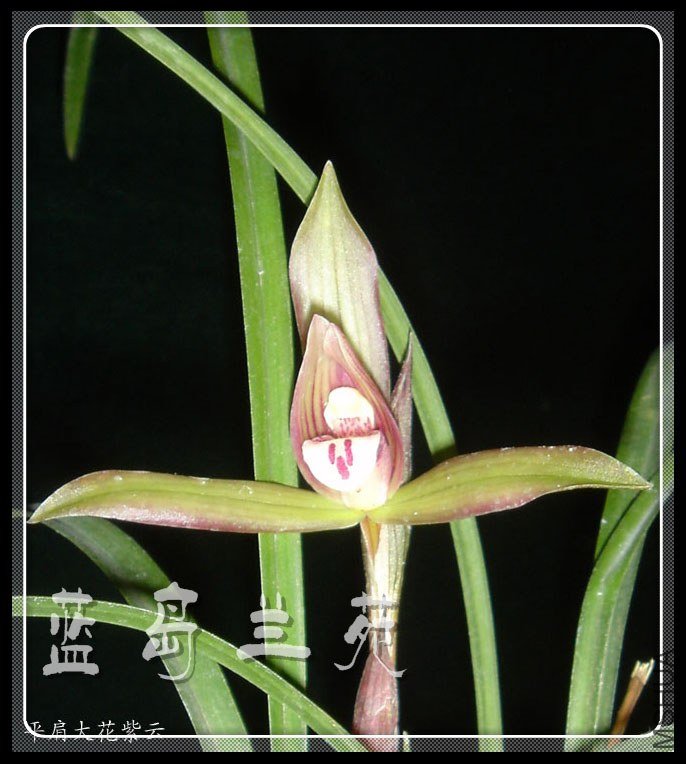 ���� ƽ�������.jpg